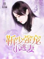靳少強寵小逃妻