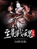 至尊戰(zhàn)魂系統(tǒng)