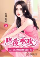 暗夜承歡：冷少的替身玩寵