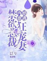 再婚難逃：禁欲總裁狂寵妻