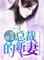 二度婚寵：總裁的新妻