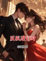 反抗進(jìn)行時(shí)