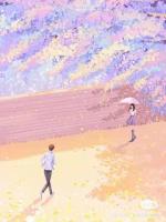 月光奏響曲