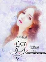 閃婚強(qiáng)愛，司少心頭寶