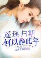 遙遙歸期，何以靜此年