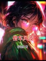 借車(chē)風(fēng)波