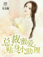 總裁蜜愛：貼身小助理