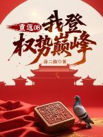 重返08：我登權勢巔峰