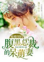 暖婚契約：腹黑總裁的呆萌妻