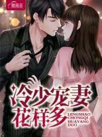 冷少寵妻花樣多