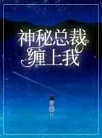 神秘總裁纏上我