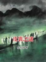 皮囊之謎