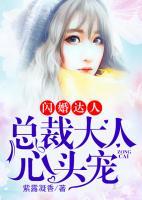 閃婚達(dá)人：總裁大人心頭寵