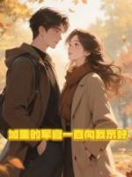 城里的軍官一直向我示好