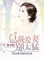 總裁愛妻別太猛