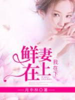 鮮妻在上我在下