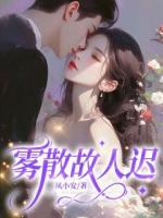 霧散故人遲
