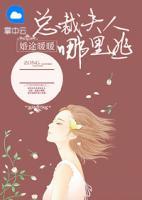 婚途暖暖，總裁夫人哪里逃