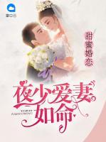 甜蜜婚戀：夜少愛(ài)妻如命