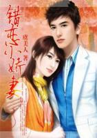 錯(cuò)戀小嬌妻