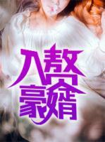 入贅豪婿