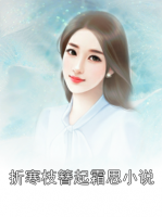 折寒枝簪起霜思小說