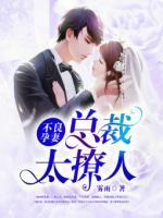 不良孕妻：總裁太撩人