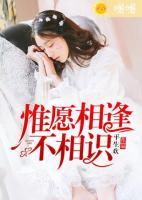 惟愿相逢不相識