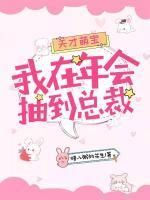 天才萌寶：我在年會抽到總裁