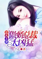 惹火上身：傲嬌總裁太兇猛