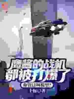 鷹醬的戰(zhàn)機都被打爆了，你管這叫模型？
