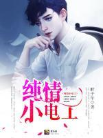 純情小電工