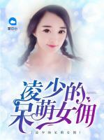 凌少的呆萌女傭