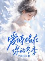 愛停格在你的冬季