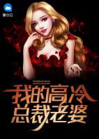 我的高冷總裁老婆