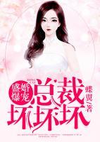 盛婚爆寵：總裁壞壞壞