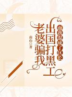 老婆騙我出國打黑工，而我混成了區(qū)長