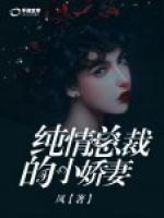 純情總裁的小嬌妻