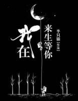 我在來生等你