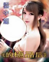 我的極品后宮