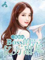 一紙婚約：BOSS的億萬甜寵