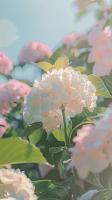 時(shí)光終負(fù)深情客