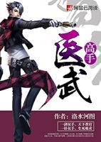 醫(yī)武高手