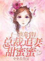 一夜危情：總裁追妻甜蜜蜜