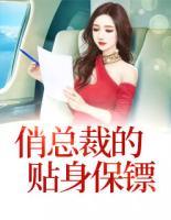 俏總裁的貼身保鏢