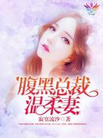腹黑總裁溫柔妻