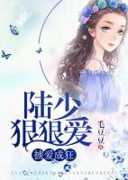 擄愛成狂：陸少狠狠愛