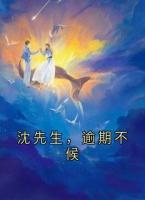 沈先生，逾期不候