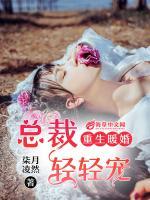 重生暖婚：總裁輕輕寵