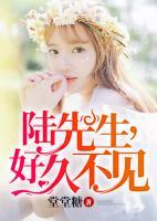 陸先生，好久不見